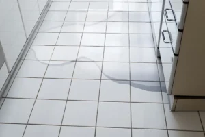 Why Is My Refrigerator Leaking Water?